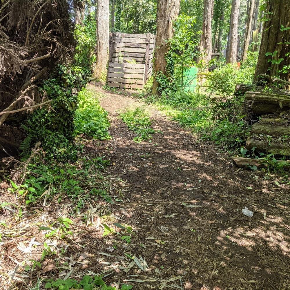 ARCTURUS 3D LEAF SUIT - Platatac