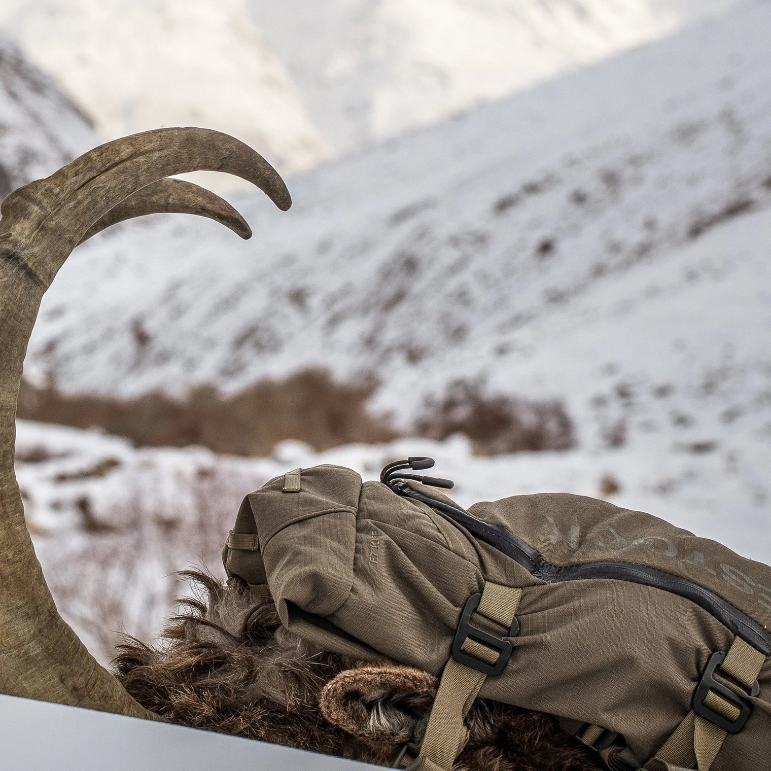 Eberlestock Kite Pack - Platatac