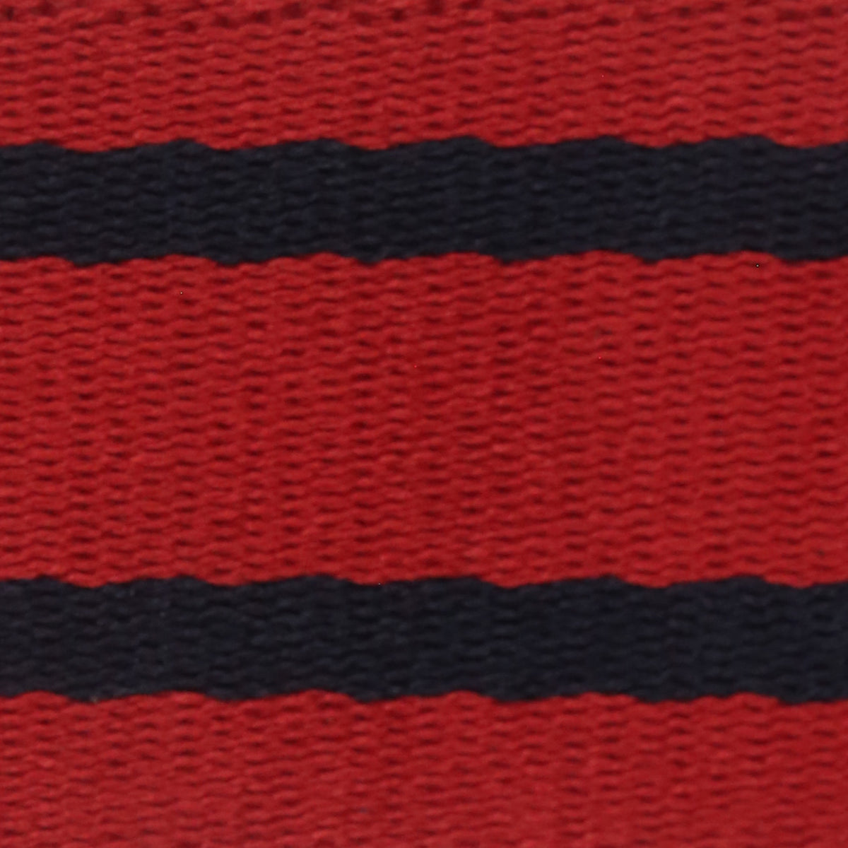 Platatac RAE SCU Stable Belt