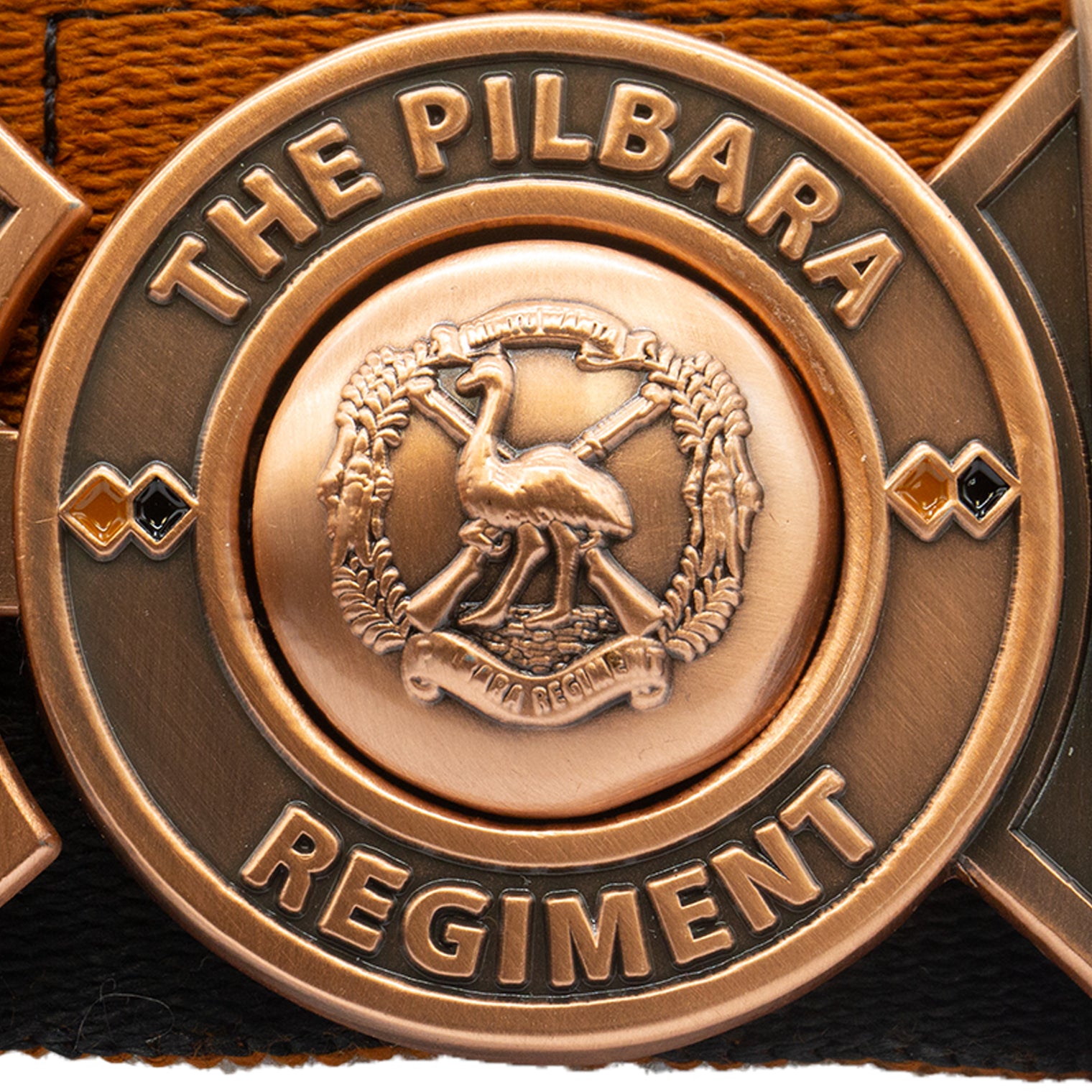 Platatac Pilbara Regiment SCU Stable Belt - Platatac