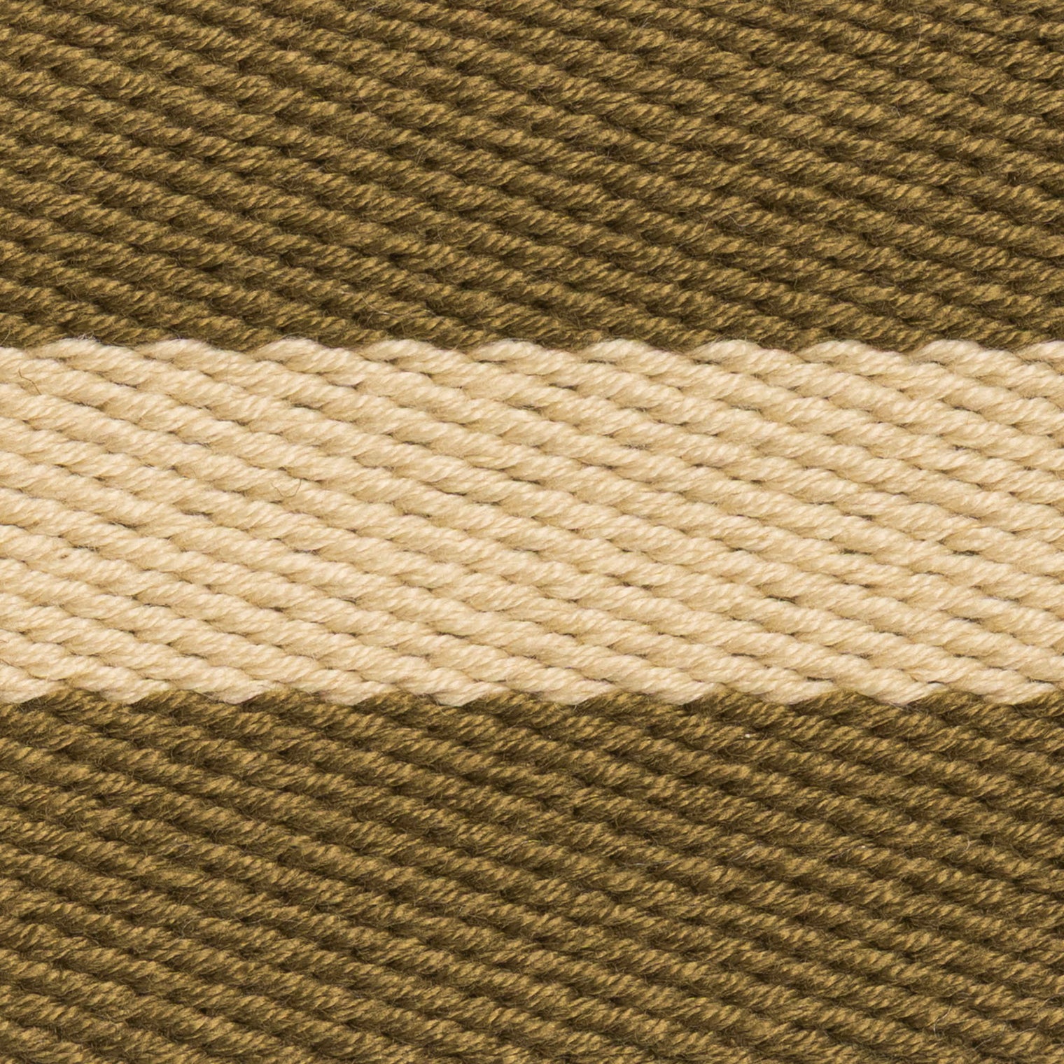Land Combat College SCU Stable Belt