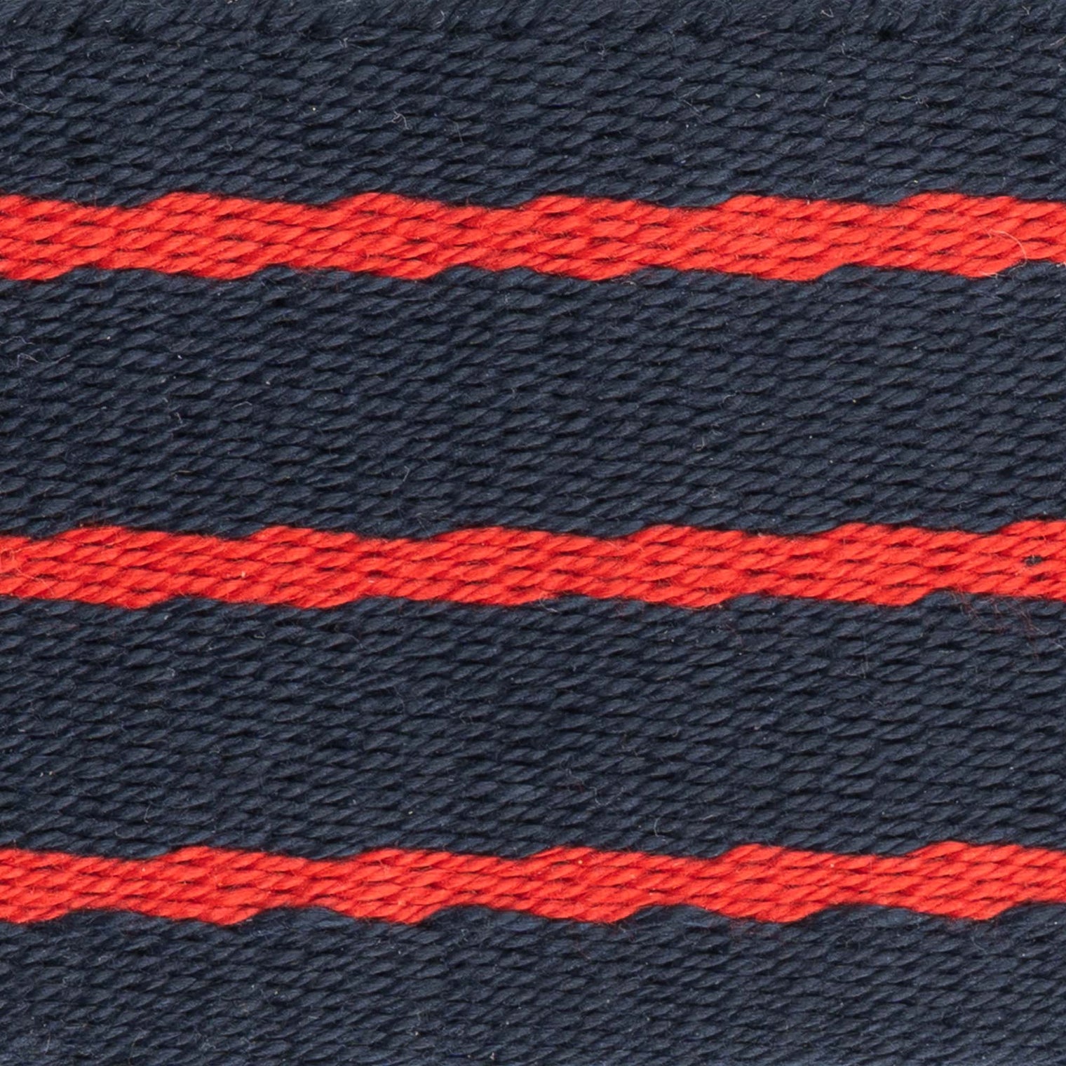 RAAOC SCU Stable Belt (King Crown)
