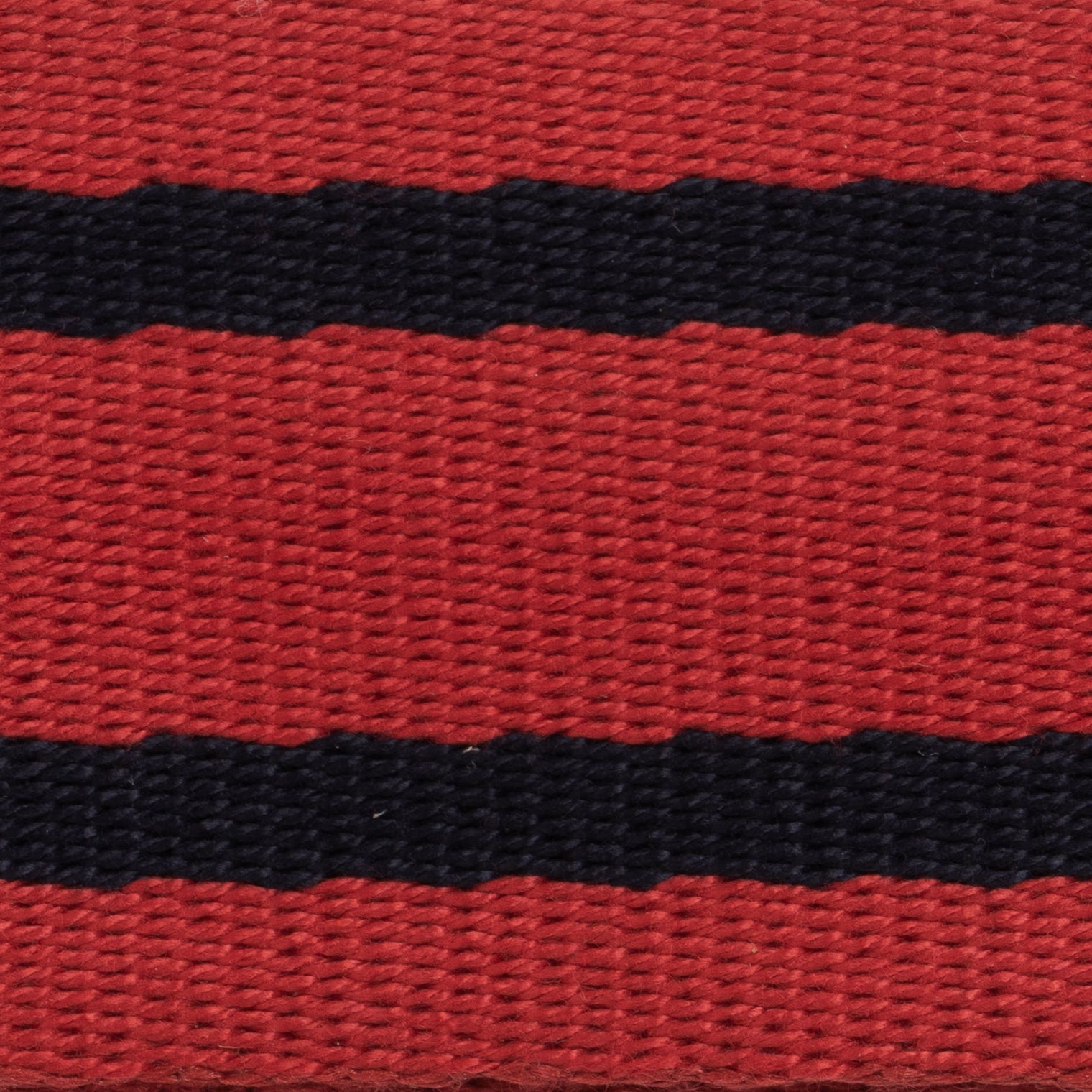 Platatac RAE SCU Stable Belt