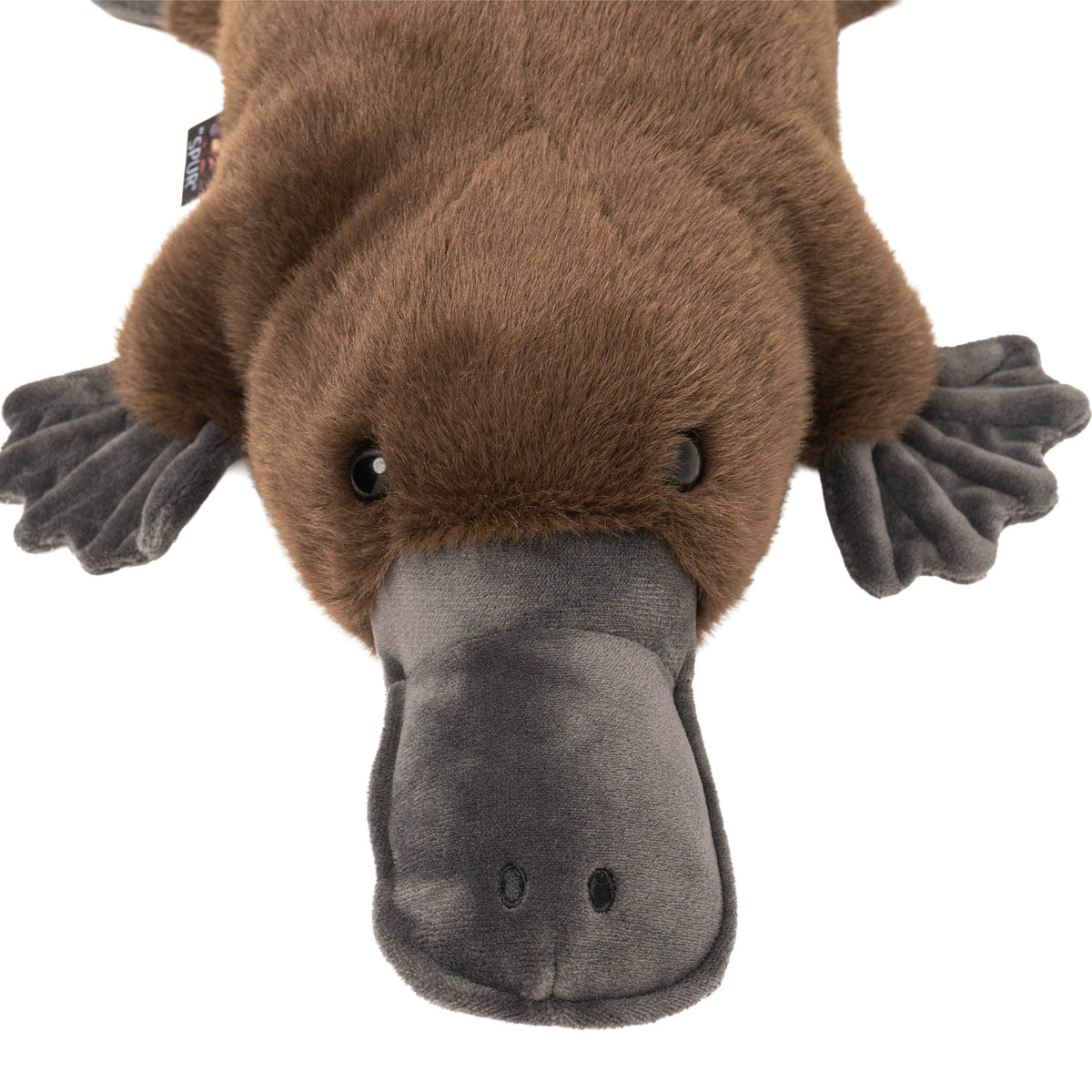 PLATYPUS ‘’SPUR” soft toy