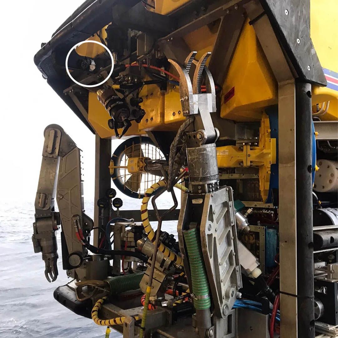 Elliot Brown Holton R04 - Platatac