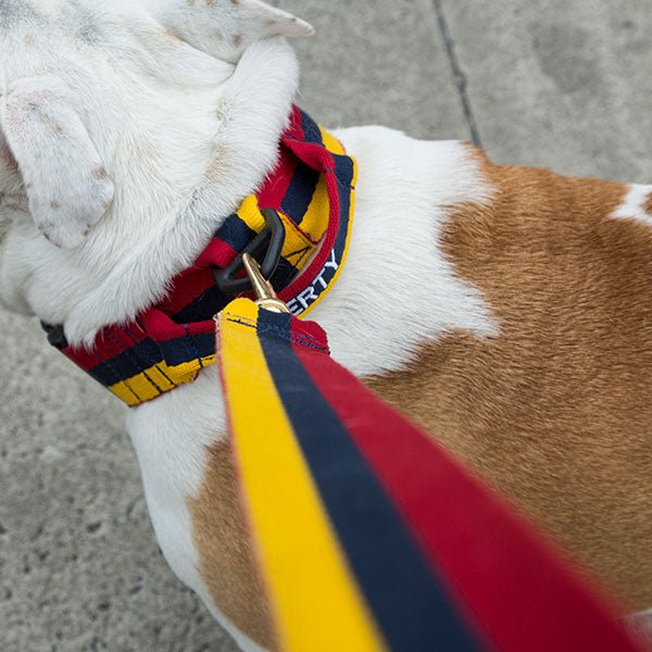 Platatac Stable Belt Dog Lead - Platatac