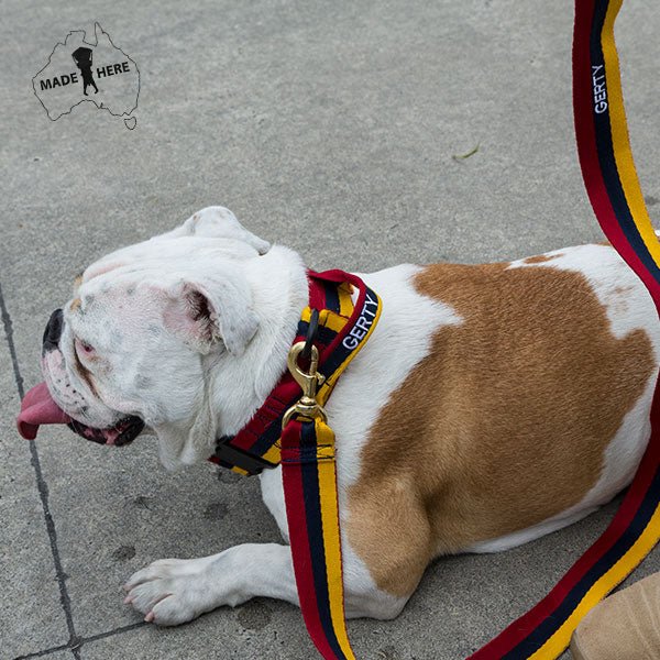 Platatac Stable Belt Dog Lead - Platatac