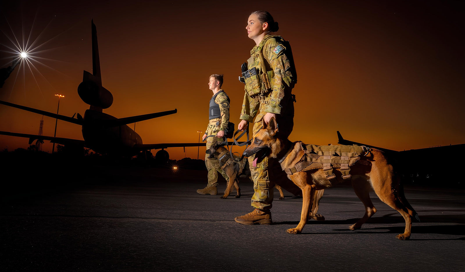 K9 Working Dogs