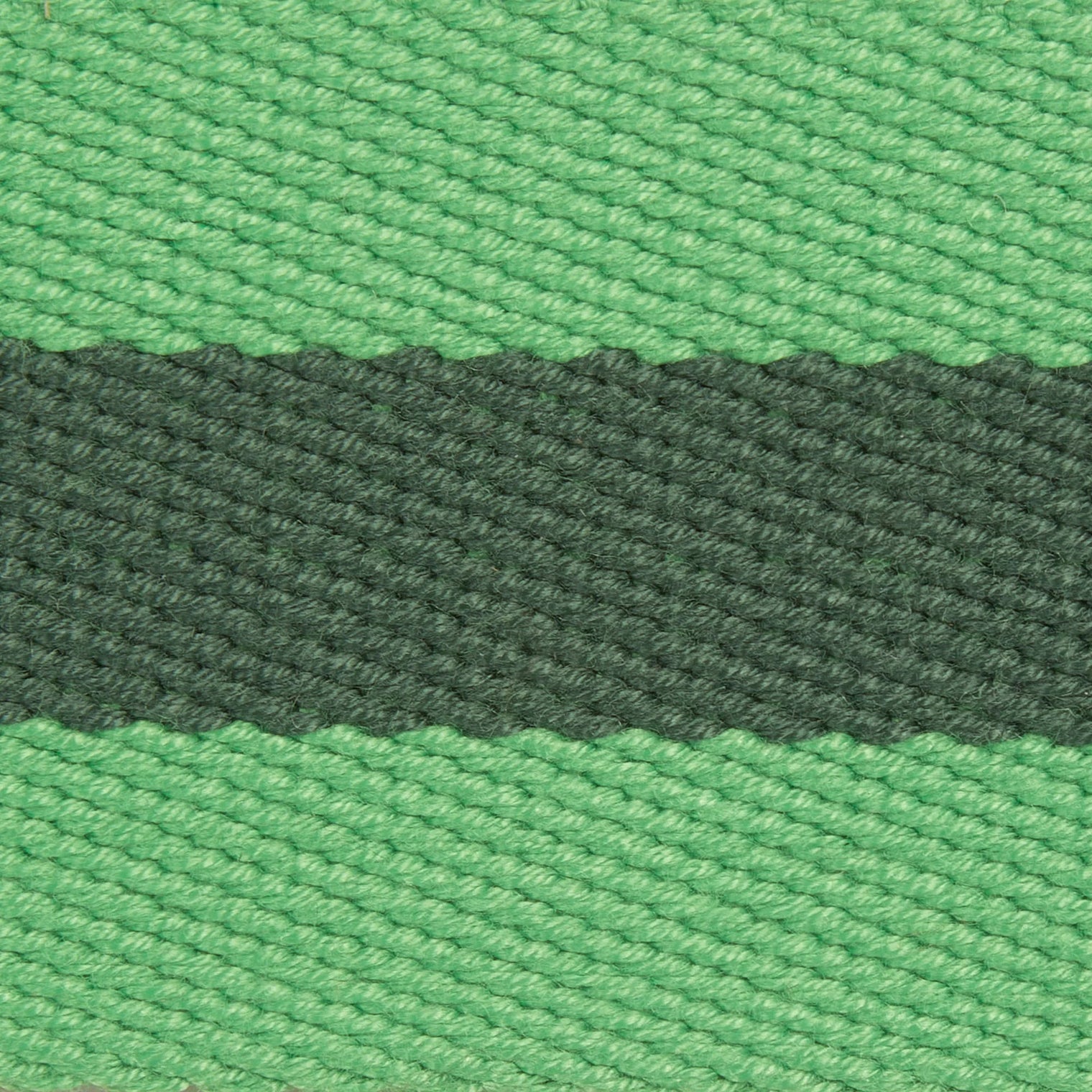 PLATATAC 3RAR Stable Belt