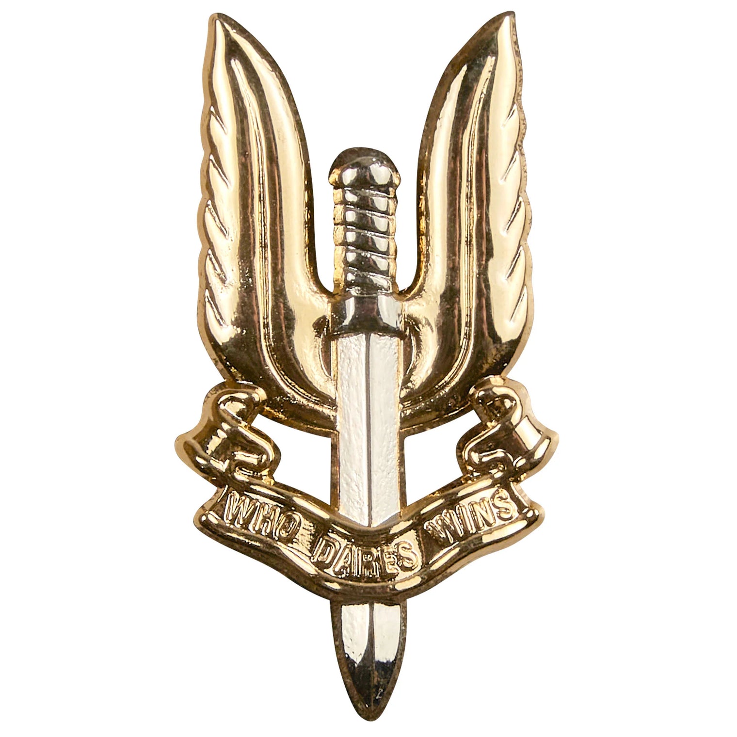 Platatac SASR Collar Badge