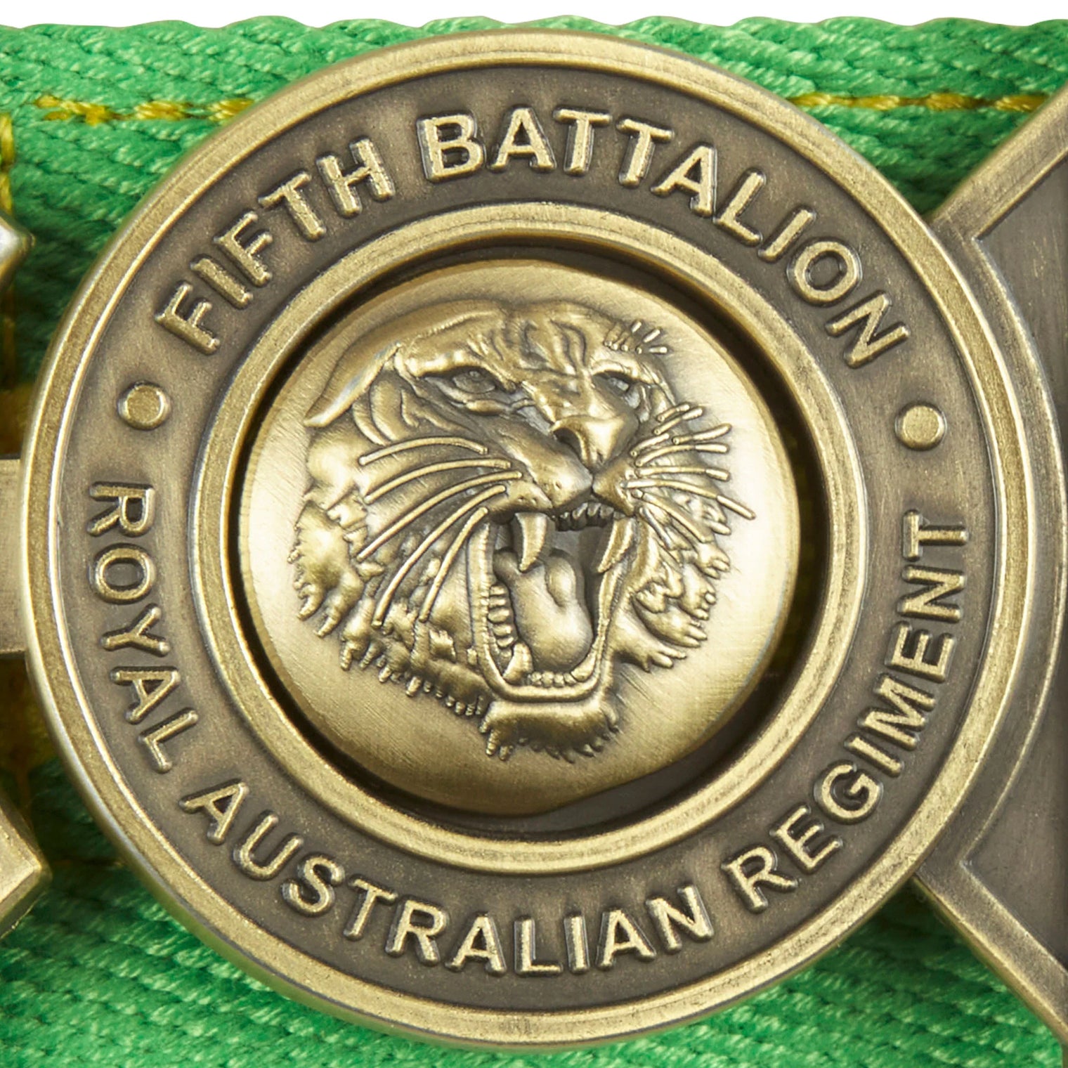 PLATATAC 5RAR Stable Belt