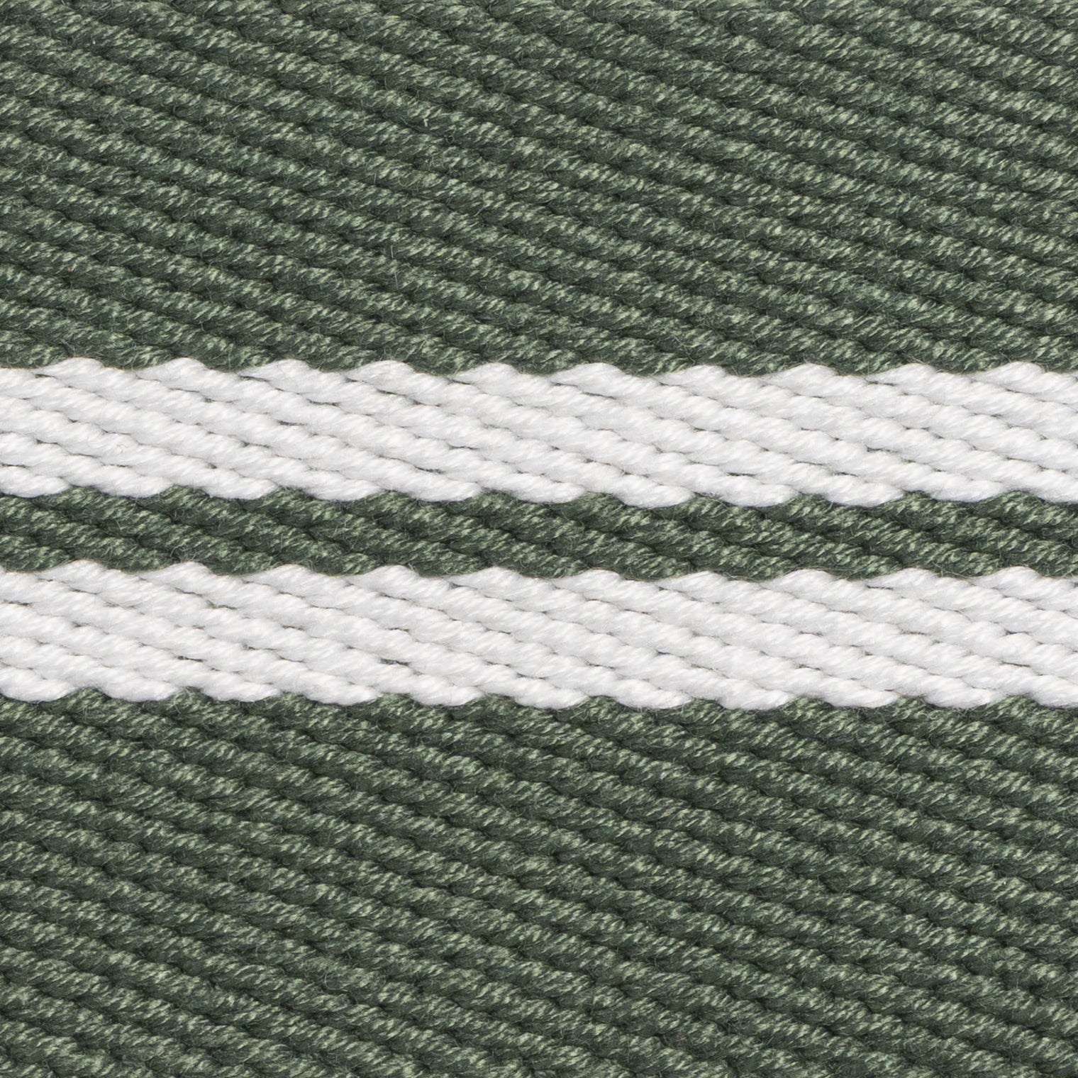PLATATAC 2 CAV Stable belt