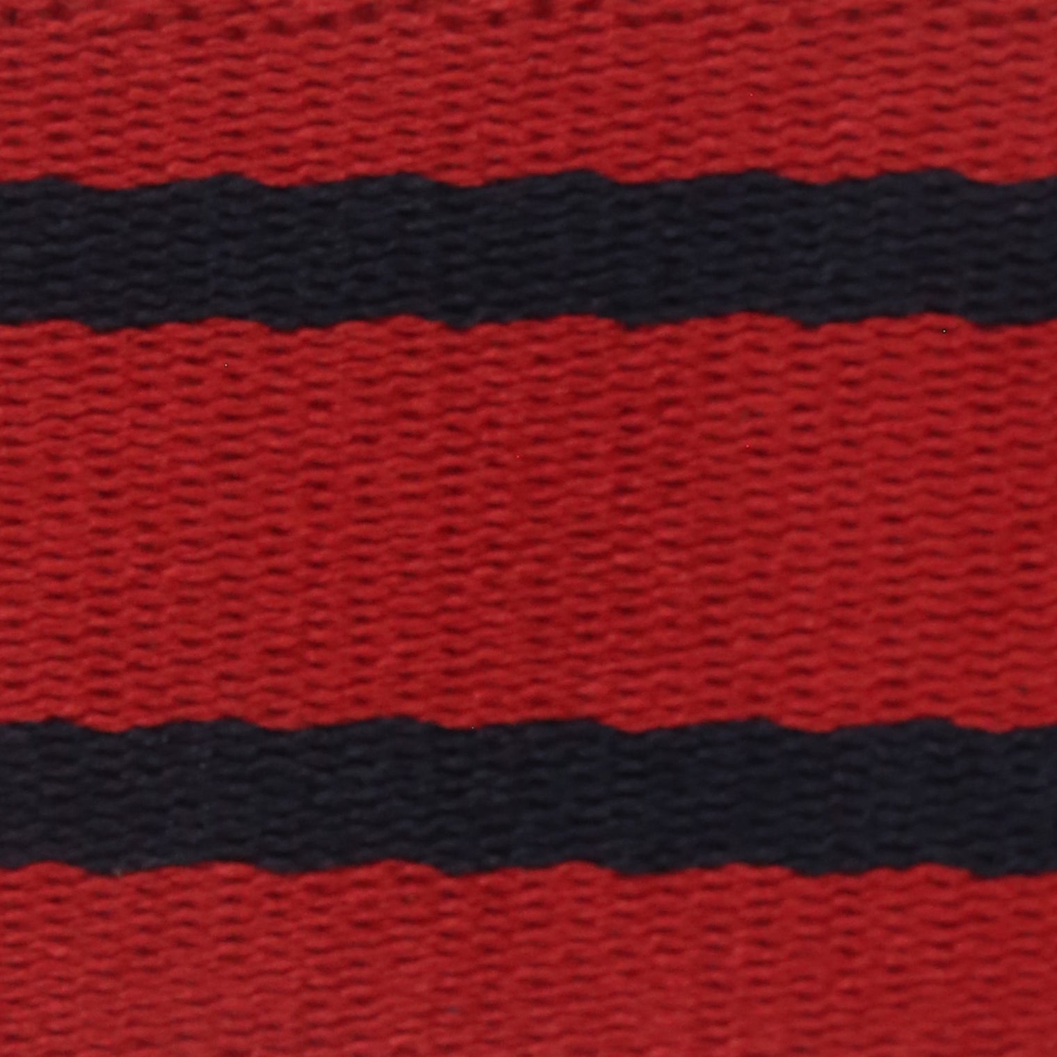 Platatac RAE SCU Stable Belt