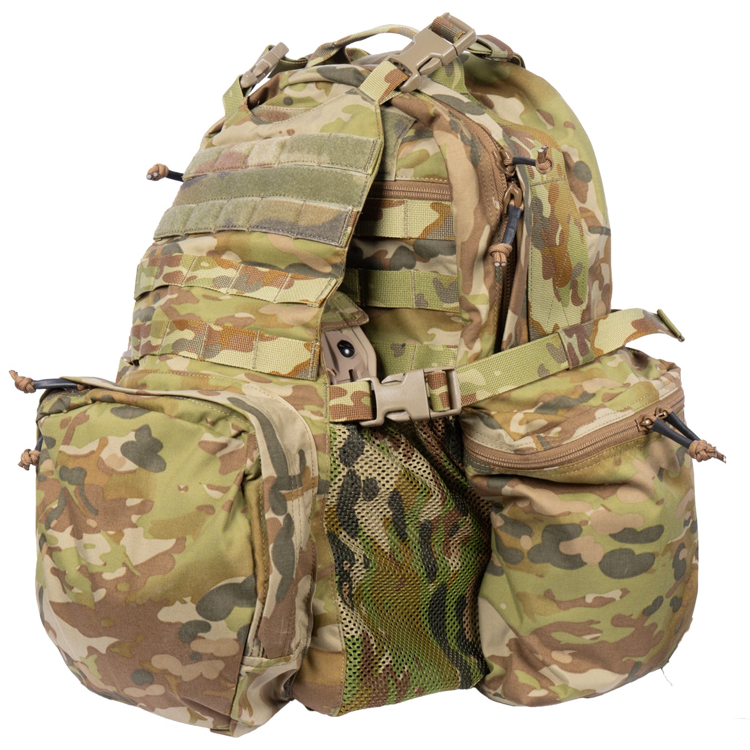 Platatac Bullock Echo Large - Platatac