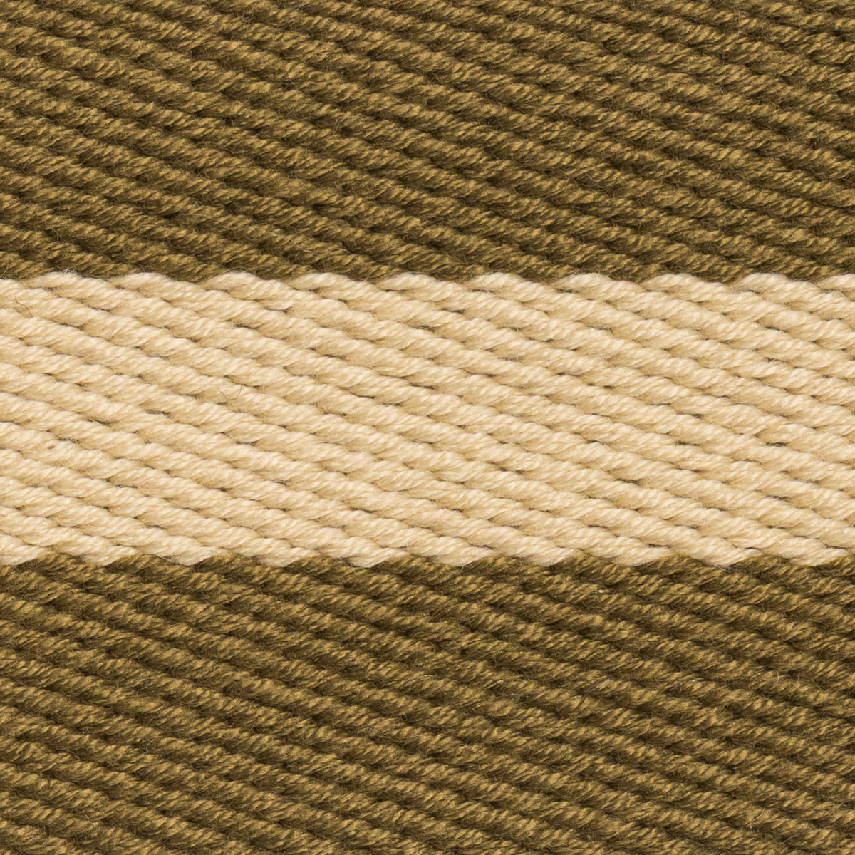 Land Combat College SCU Stable Belt