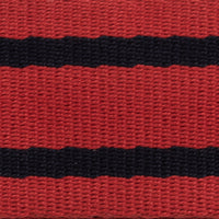 Platatac RAE SCU Stable Belt