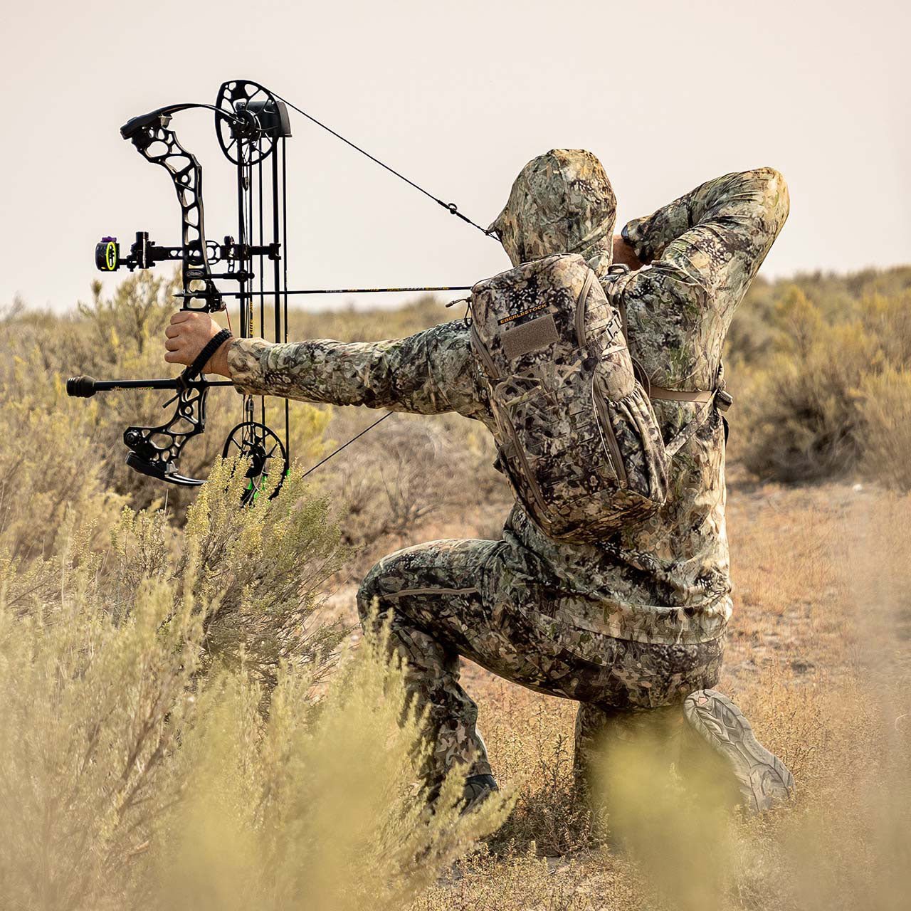 Eberlestock H31 BANDIT PACK - Platatac