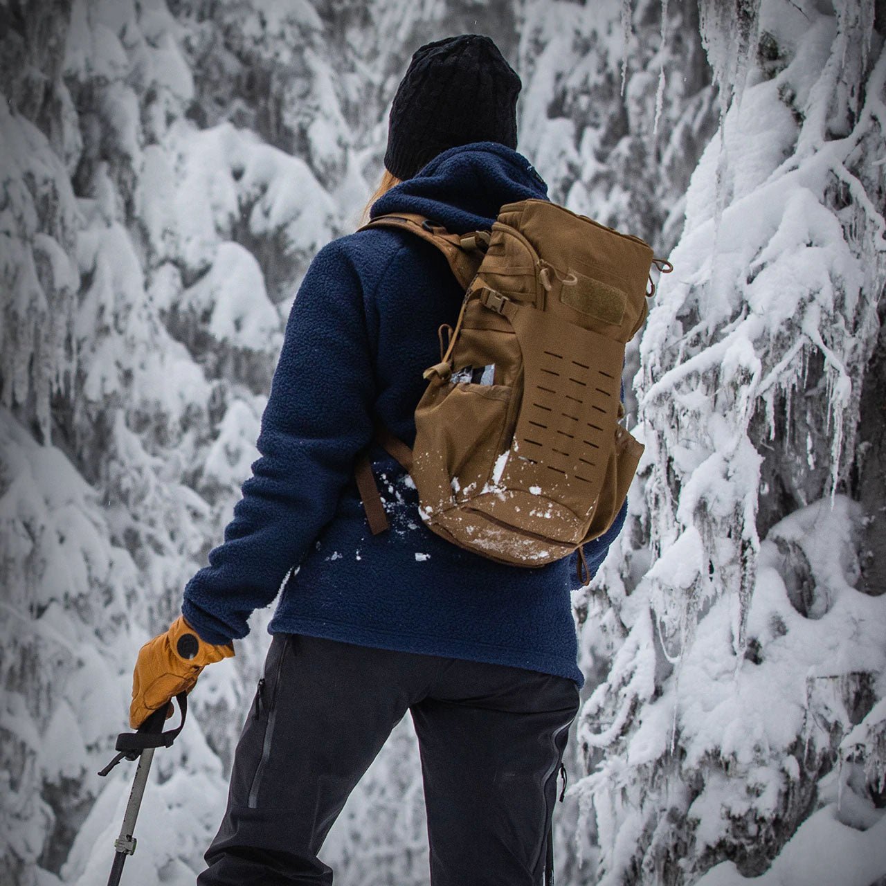 Eberlestock H31 BANDIT PACK - Platatac