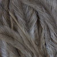 Platatac Kangaroo Hat Feathers (Emu Plumes) - Platatac