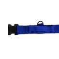 Platatac Stable Belt Dog Collar - Platatac