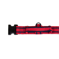 Platatac Stable Belt Dog Collar - Platatac