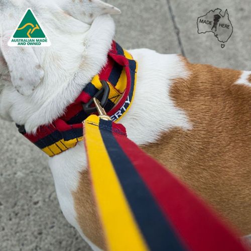 Platatac Stable Belt Dog Collar
